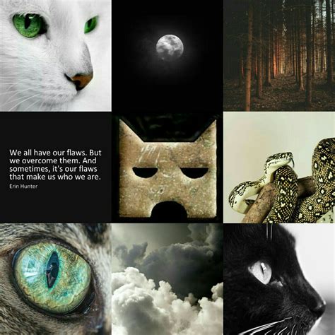 Warrior Cats Aesthetic