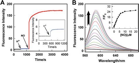 A Real Time Fluorescence Records Of Rhod H No Msn Cd In A Buffer Download Scientific Diagram