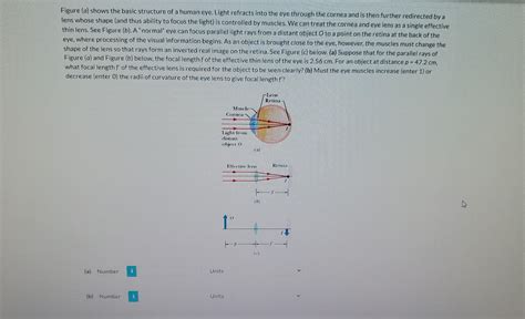 Solved Figure A Shows The Basic Structure Of