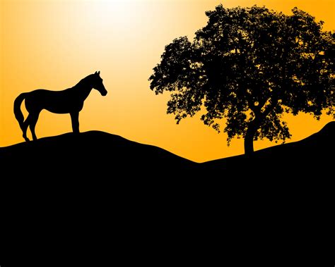 Horse Silhouette At Sunset Free Stock Photo - Public Domain Pictures