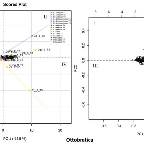 Principal Component Analysis Pca Scores Plot A And Loading Plot