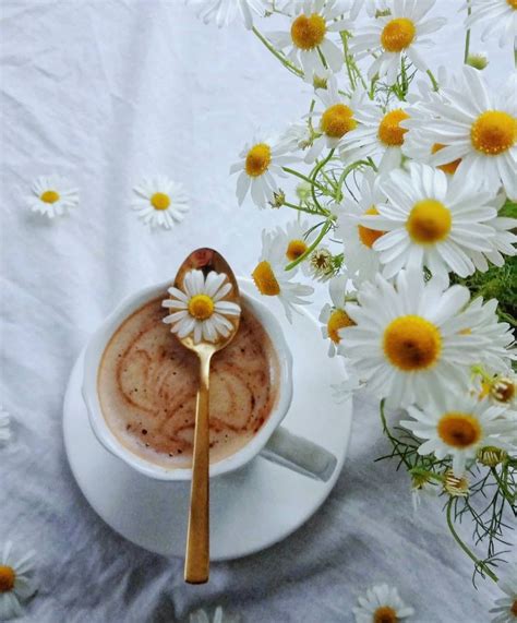 Épinglé sur flowers | Café matin, Café au lait, Tasse café