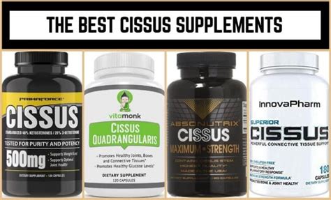 The 10 Best Cissus Supplements January 2025 Jacked Gorilla