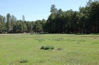 Crooked H Ranch Yavapai And Coconino Counties Az Headquarters West Ltd