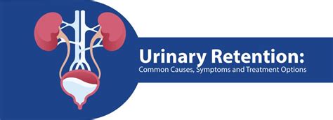 Urinary Retention Common Causes Symptoms And Treatment