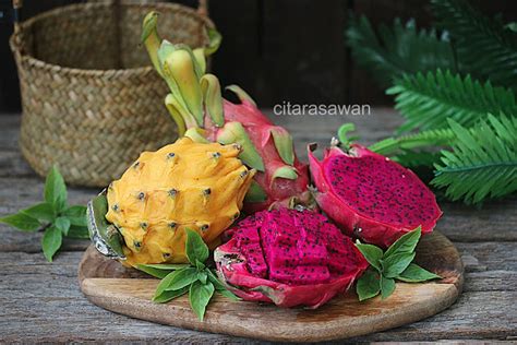 Buah Naga Pitaya Resepi Terbaik