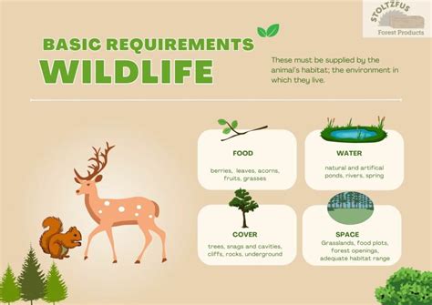 Wildlife Habitat Management For Pennsylvania Woodlands