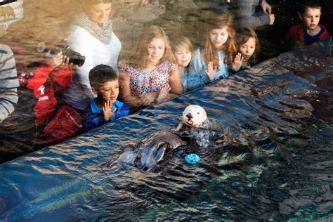 Monterey Bay Aquarium Attractions Monterey, CA 93940