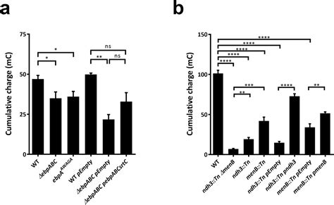 Biofilm Cell Pellet Millipore Bioz