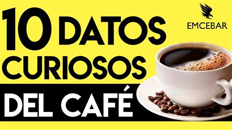 10 Datos Curiosos del Café YouTube