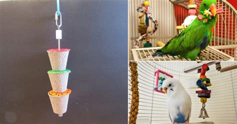 Homemade Diy Bird Toys From Recyclable Items Bright Stuffs