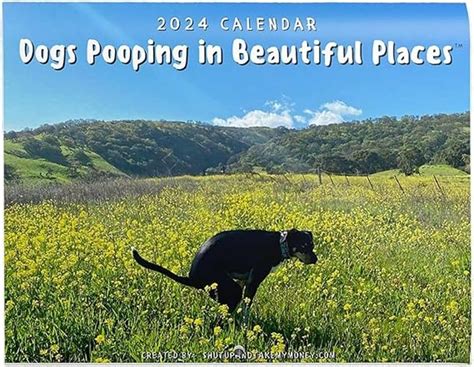 Wall Calendar 2024 Funny Pooping Pooches Calendar Dogs Dooping In