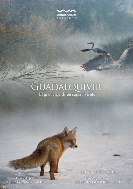 Guadalquivir | Cultture