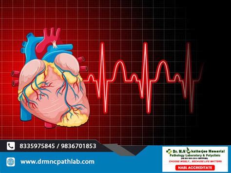 All You Need To Know About Cardiac Arrest Drmnc Pathlab