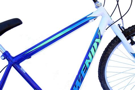 Bicicleta Aro 26 Wendy Masc 18m Mtb Convencional Cor Azul