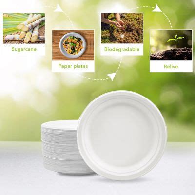 Three Leaf Bagasse Disposable Round Plate Ct Oriental Trading