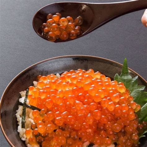 Jual Fresh Japanese Premium Salmon Roe Caviar Seasoned Ikura Telur Ikan