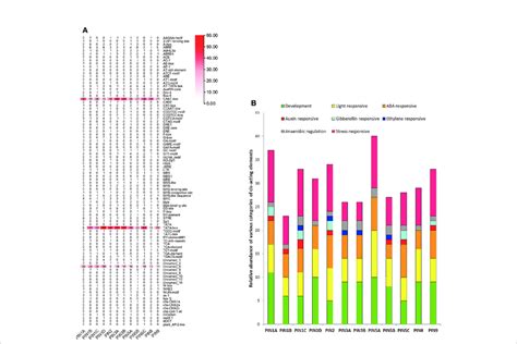 The Cis Acting Regulatory Elements Present In The 2 Kb Upstream