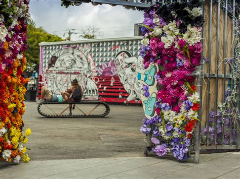 16 Best Miami Tours For Sightseeing Eco Excursions And More