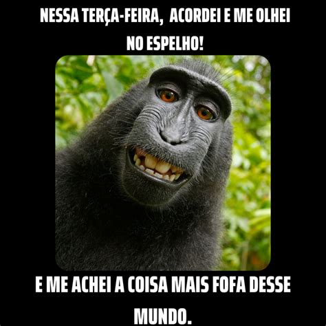 O Que É O Que É Engraçada - Imagens Com Frases Engraçada - RETOEDU