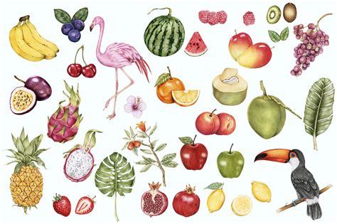 Illustration Tropical Fruits Watercolor Style Premium Vector Rawpixel