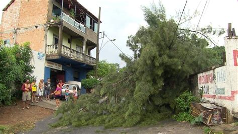 Chuva Causa Queda De árvores E Deixa Moradores Sem Luz Em Belo