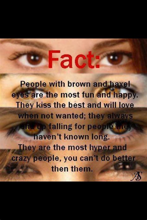 Brown Eyes Brown Eye Quotes Brown Eyes Facts Eye Facts