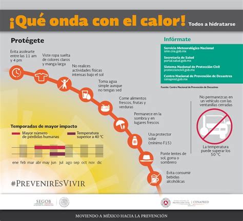 ¡qué Onda Con El Calor 10 Recomendaciones Para Días De Altas