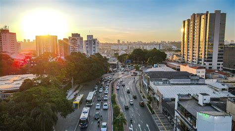 Sebo Sao Caetano Do Sul - Prefeitura Municipal de São Caetano do Sul