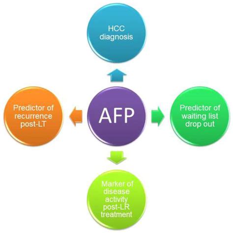 Alpha fetoprotein - qustunit