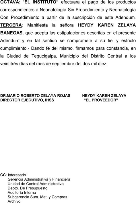 Adendum Al Contrato De Trabajo Modelo Actualizado Enero 2025