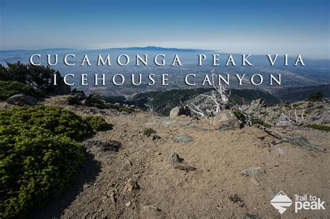 Hiking Cucamonga Peak Via Icehouse Canyon Trail Trail To Peak