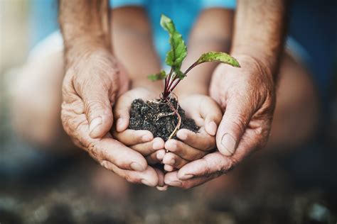 11 ideias sustentáveis pelo bem do planeta