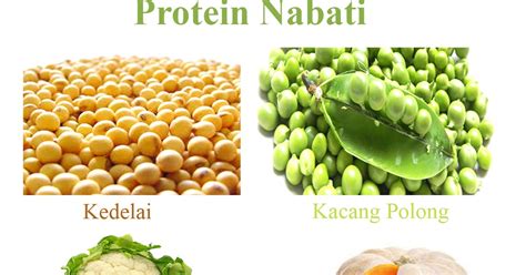 contoh makanan protein nabati - Nathan Arnold