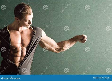 Man With Muscular Body And Torso Shirtless Gay Man Model Showing Underpants Panties Royalty