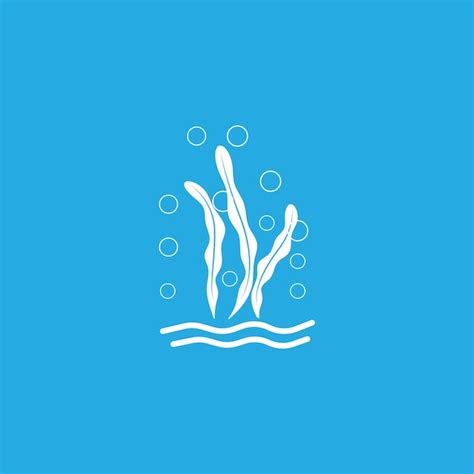 Premium Vector Seaweed Vector Illustration Template