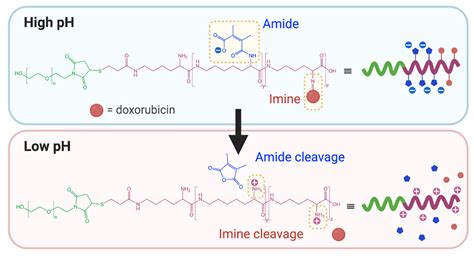 Polymers Free Full Text Strategies For The Development Of Ph