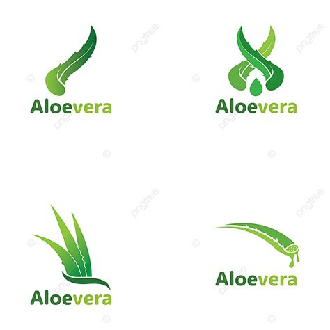 Establecer Plantilla De Ilustración De Vector De Logotipo De Aloe Vera