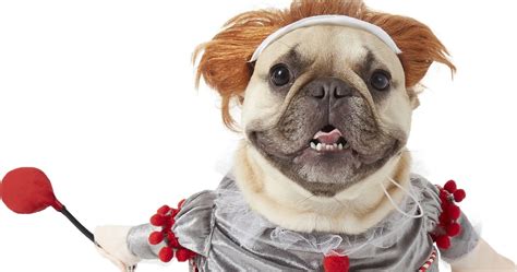 This Pennywise Dog Halloween Costume Is Too Cute To Be Scary Popsugar