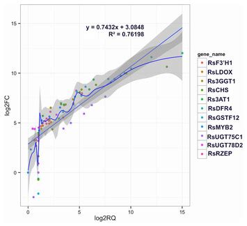 Transcriptomic Dynamics Changes Related To Anthocyanin Accumulation In