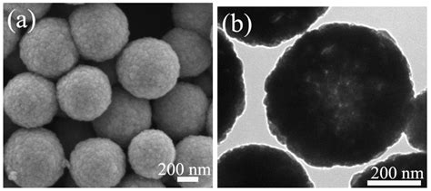 Sem Images A And Tem Images B Of Pure Fe3o4 Hollow Microspheres