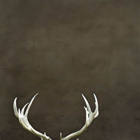 Nezart Design Deer Antler Print Man Cave Wall Art Antlers