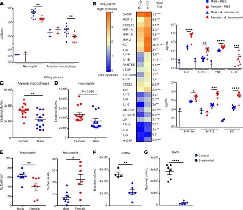 Biological Sex Influences Susceptibility To Acinetobacter Baumannii