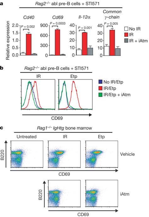 Genotoxic Dsbs Promote Changes In Expression Of Lymphocyte Specific