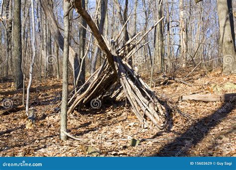 Fall Lean To Stock Image Image Of Ridge Shelter Yellow 15603629