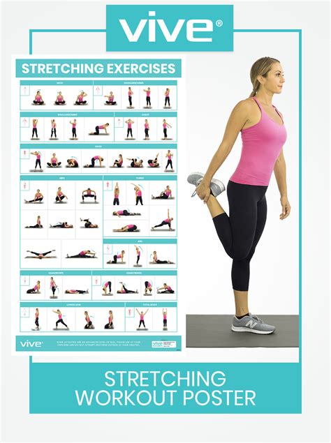 Stretching Workout Poster Stretching Exercises For Flexibility Workout