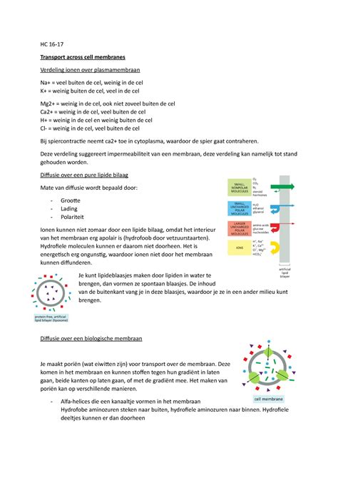 Hc Aantekeningen Hoorcollege Transport Hc Transport