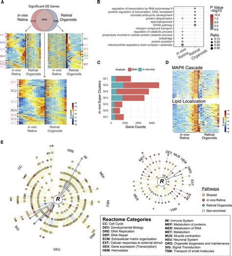 Comparison Of The Intra Dataset DE Analysis A Euler Diagram Of The