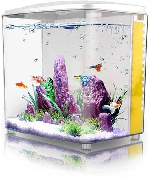 300 Gallon Fish Tank: Thế Giới Dưới Đáy Cá Cảnh Lớn ...