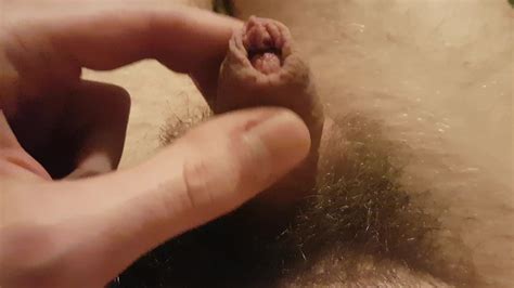 Small Cock Getting Hard Gay Small Cock Porn XHamster